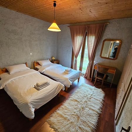 Orino Livadi Mount Villa IV Arachova Zewnętrze zdjęcie