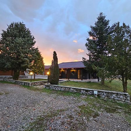 Orino Livadi Mount Villa IV Arachova Zewnętrze zdjęcie