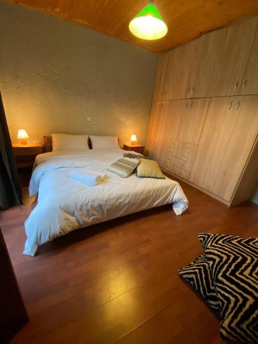 Orino Livadi Mount Villa IV Arachova Zewnętrze zdjęcie